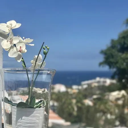 Villa Luxury Costa